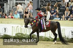 24R13_04167 thumbnail