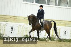 24R13_04184 thumbnail
