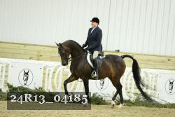 24R13_04185 thumbnail