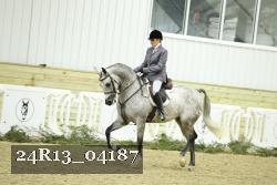 24R13_04187 thumbnail