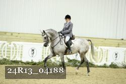 24R13_04188 thumbnail
