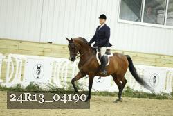 24R13_04190 thumbnail