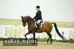 24R13_04191 thumbnail