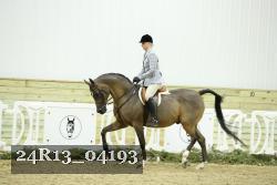 24R13_04193 thumbnail