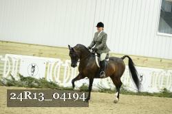 24R13_04194 thumbnail