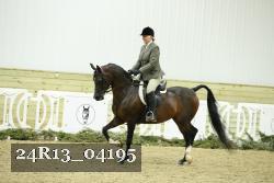 24R13_04195 thumbnail