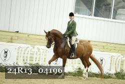 24R13_04196 thumbnail