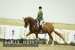 24R13_04197 thumbnail