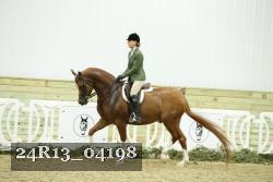 24R13_04198 thumbnail