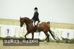 24R13_04200 thumbnail