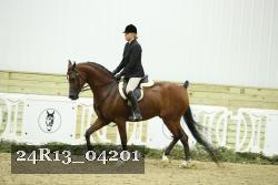 24R13_04201 thumbnail