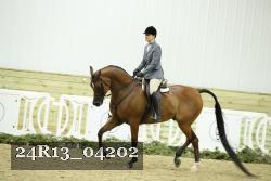 24R13_04202 thumbnail