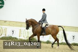 24R13_04203 thumbnail