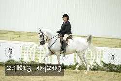 24R13_04205 thumbnail