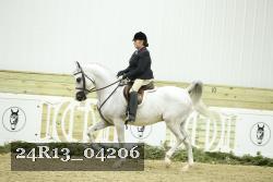 24R13_04206 thumbnail