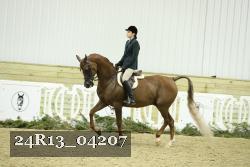 24R13_04207 thumbnail