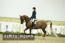24R13_04208 thumbnail