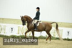 24R13_04209 thumbnail