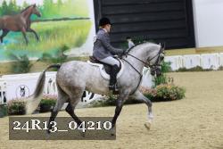 24R13_04210 thumbnail