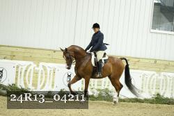 24R13_04211 thumbnail