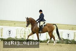 24R13_04212 thumbnail