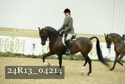 24R13_04214 thumbnail