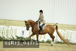 24R13_04215 thumbnail