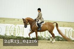 24R13_04216 thumbnail