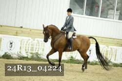 24R13_04224 thumbnail