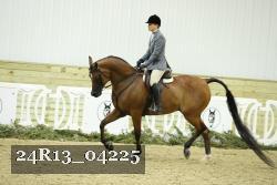 24R13_04225 thumbnail