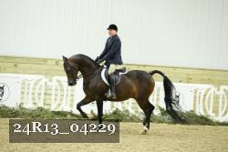 24R13_04229 thumbnail