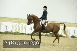 24R13_04236 thumbnail