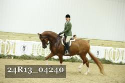 24R13_04240 thumbnail