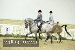 24R13_04241 thumbnail