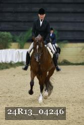 24R13_04246 thumbnail