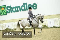 24R13_04250 thumbnail