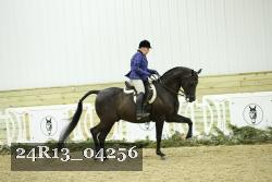 24R13_04256 thumbnail