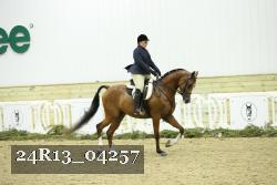 24R13_04257 thumbnail