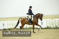 24R13_04258 thumbnail