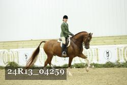 24R13_04259 thumbnail