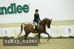 24R13_04261 thumbnail