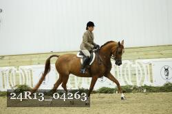 24R13_04263 thumbnail