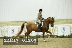 24R13_04265 thumbnail