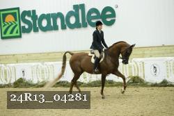 24R13_04281 thumbnail
