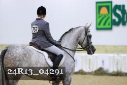 24R13_04291 thumbnail