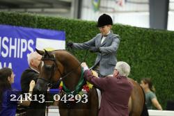 24R13_04293 thumbnail