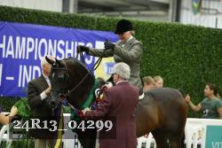 24R13_04299 thumbnail