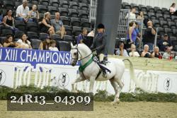 24R13_04309 thumbnail