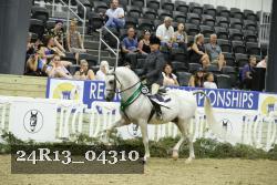24R13_04310 thumbnail