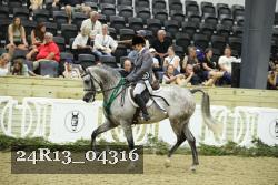 24R13_04316 thumbnail